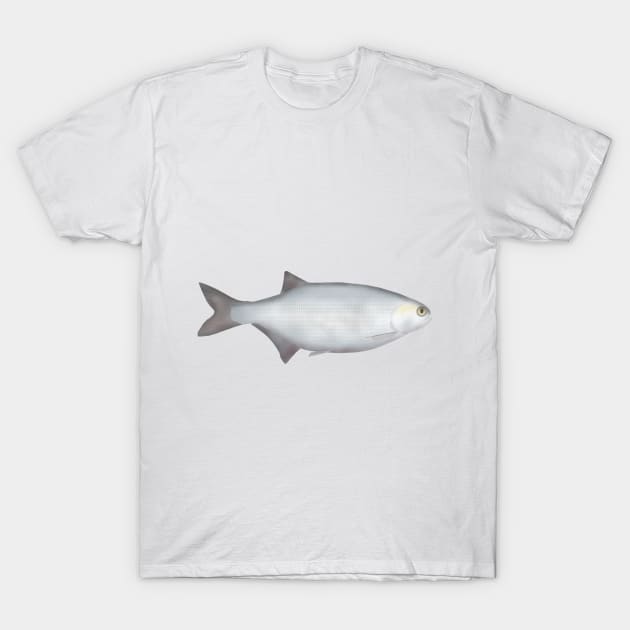 Goldeye T-Shirt by FishFolkArt